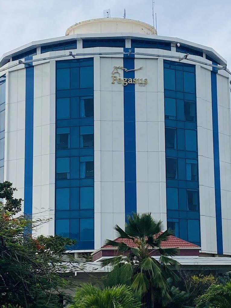 Pegasus Guyana